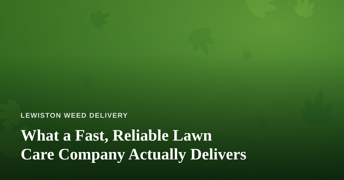 What a Fast, Reliable Lawn Care Company Actually Delivers